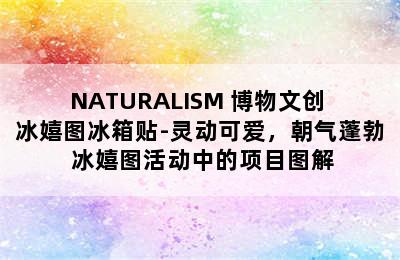 NATURALISM 博物文创 冰嬉图冰箱贴-灵动可爱，朝气蓬勃 冰嬉图活动中的项目图解